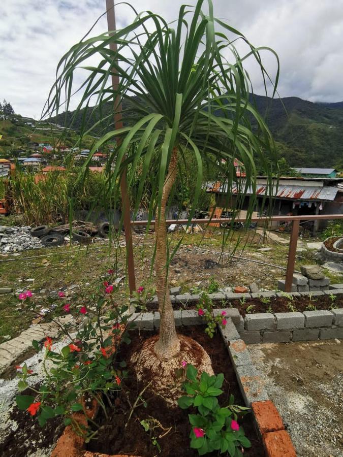 Dreamcatcher Homestay, Kundasang Ranau Exterior foto
